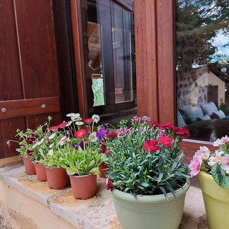 Εν Αρχή - En Arhi Vila Ano Trikala Exterior foto