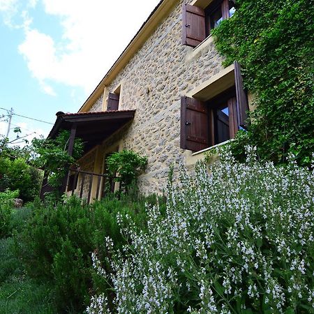 Εν Αρχή - En Arhi Vila Ano Trikala Exterior foto