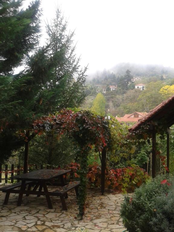 Εν Αρχή - En Arhi Vila Ano Trikala Exterior foto