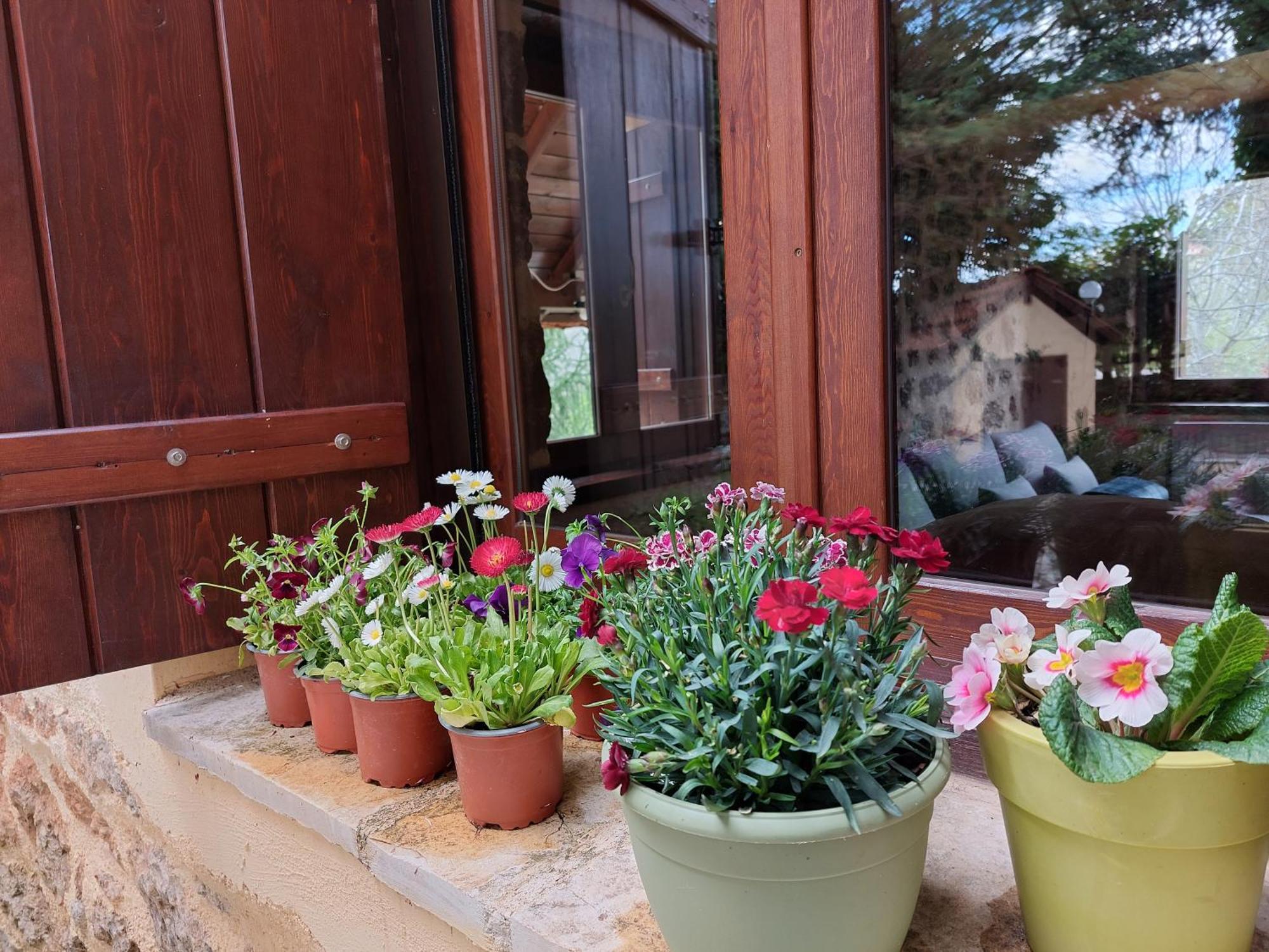 Εν Αρχή - En Arhi Vila Ano Trikala Exterior foto