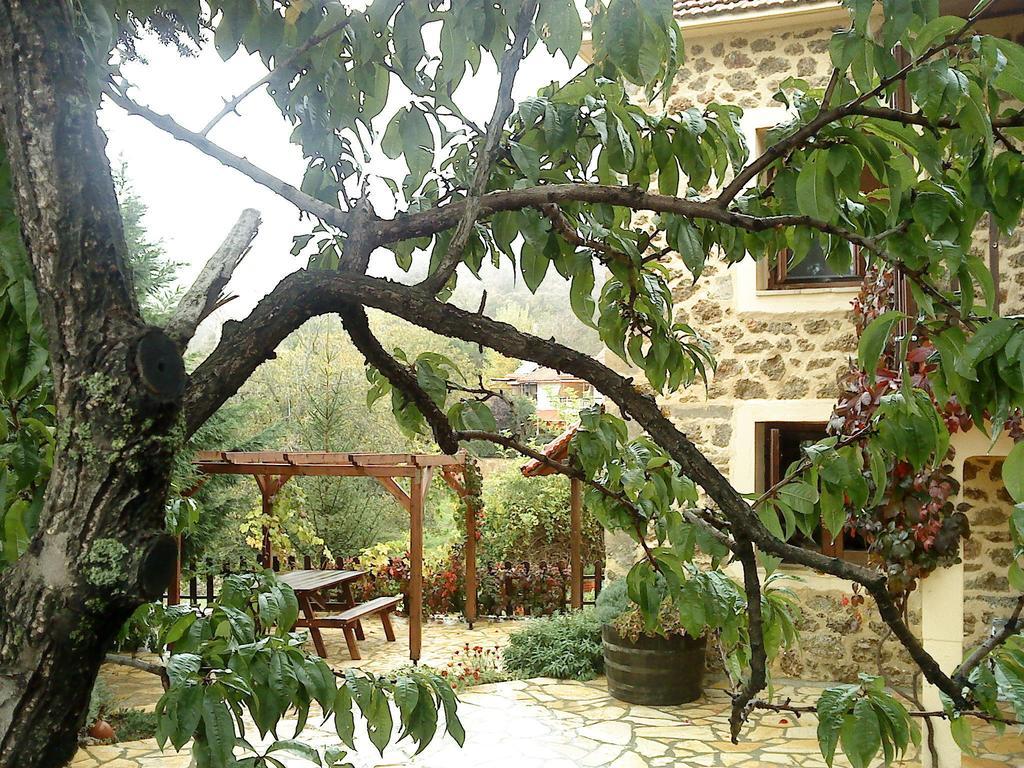 Εν Αρχή - En Arhi Vila Ano Trikala Quarto foto