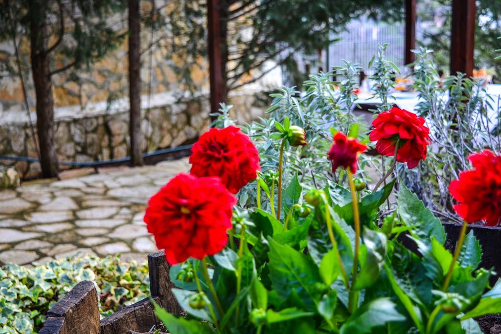 Εν Αρχή - En Arhi Vila Ano Trikala Exterior foto