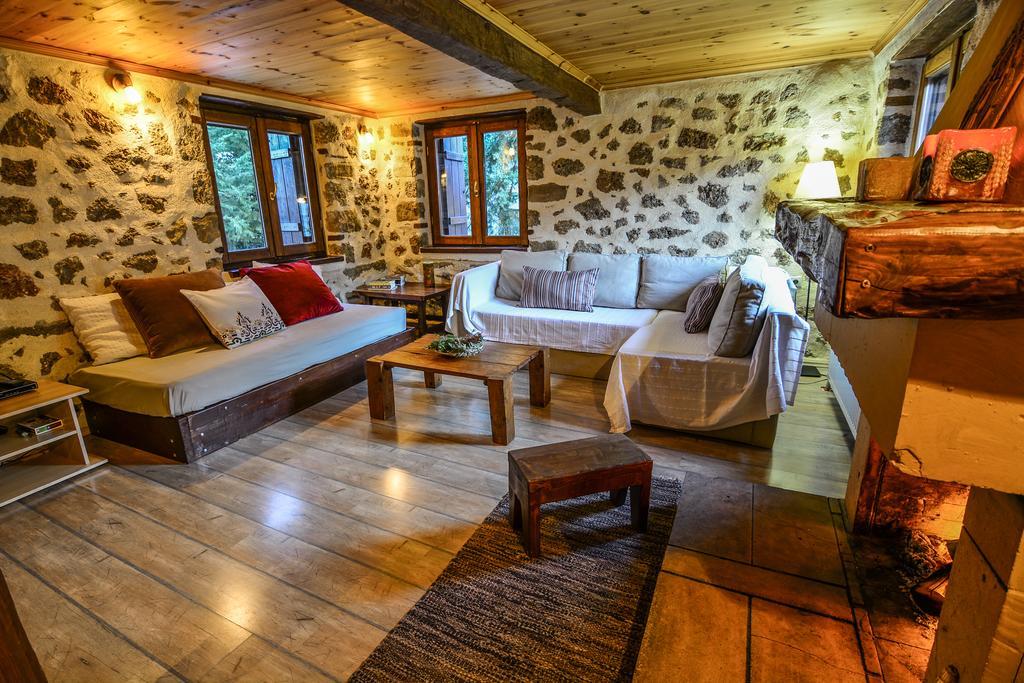 Εν Αρχή - En Arhi Vila Ano Trikala Exterior foto